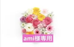 【ami様専用ページ】