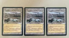 MTG 塩の湿地 / Salt Marsh INV 英語 4枚 - メルカリ