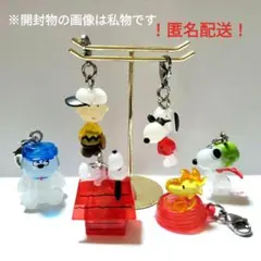 PEANUTS めじるしアクセサリー クラシックver. 全６種 コンプセット