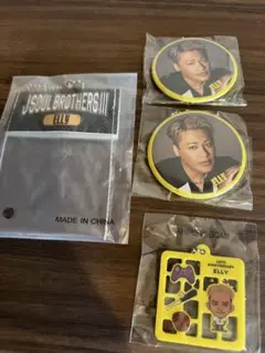 三代目　ガチャ　エリー　缶バッジ　キーホルダー　 JSB FOREVER ONE