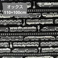 Item thumbnail for item 21207a5c-ed0f-49f4-892b-47960fad325d