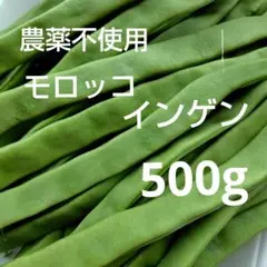 モロッコインゲン、シュガーグリーン500gのサムネイル
