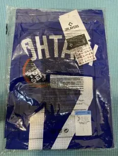 Item thumbnail for item 411eb228-a3cd-4c24-b14f-aeb634e5449c