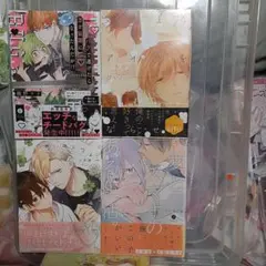 商業 BL 新刊 含 組み換え可能　バグで透けたらエロ展開になったんだが！？