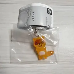 ノンタン　めじるしアクセサリー2 たぬきさん