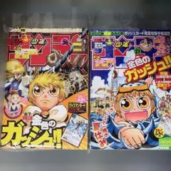 ⚠️5/24まで⚠️ 週刊少年サンデー特別編集 金色のガッシュ!!(カード