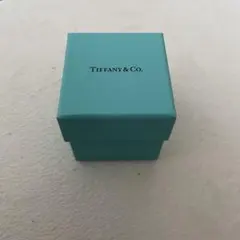 【空箱】Tiffany & Co. ギフトボックス ティファニーブルー