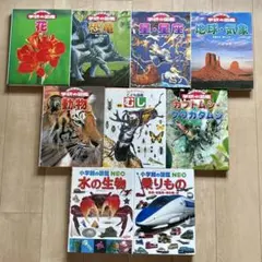 小学館の図鑑NEO 学研の図鑑LIVE 9冊セット DVD付 小学館の図鑑NEO 学研の図鑑LIVE 9冊セット DVD付 - メルカリ