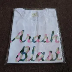 Item thumbnail for item 912c0aa8-72fd-4203-bf49-d190c756ea97