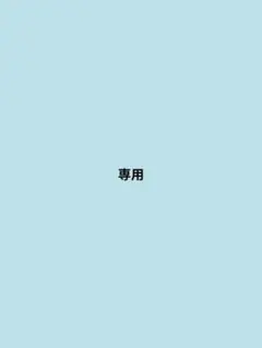 専用