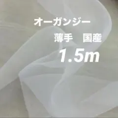 Item thumbnail for item a5a56ff6-d750-4fb9-8833-248fccd336f7