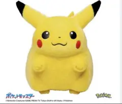 ポケモン30周年記念おかえり!ピカチュウ1/1