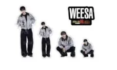 psychicfever WEESA フレークシール　HiGH&LOW