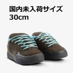 国内未入荷サイズ 30CM ERL VAMPS Skate スニーカー US12