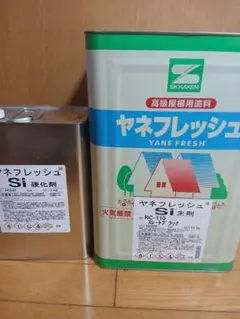 SK化研 クリーンマイルドフッソ ST 09-20D硬化剤セット - メルカリ