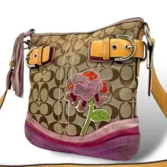 良品✨コーチ ショルダーバッグ シグネチャー アップリケ ベージュ 茶 M045