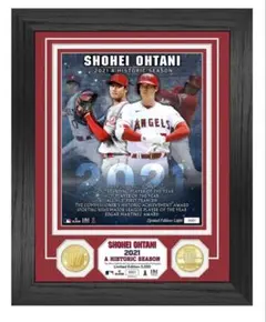 大谷翔平2024ホームラン王記念フォト 期間限定品 - メルカリ