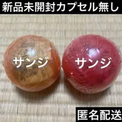 ワンピの実　サンジ２種類未開封セット　カプセル無し