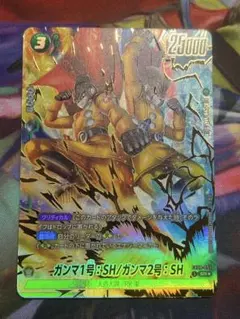 ガンマ１号 ガンマ２号　SR パラレル　FB09-51 デュアルエボリューション