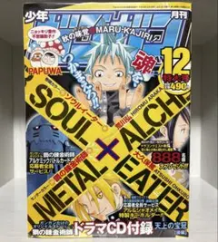 鋼の錬金術師 ソウルイーター 当選品 - メルカリ