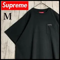 希少・即完売モデル】シュプリーム☆センタービッグロゴ入りTシャツ 