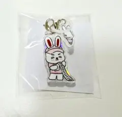 SEVENTEEN MINITEEN カプセルトイ めじるし エスクプス | Mercari