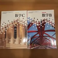 数学B 数学C 参考書 2冊セット