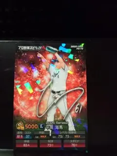 ちぇるしーぼーい様 リクエスト 2点 まとめ商品