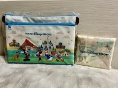 東京ディズニーリゾート　ダブルファスナーポーチとエコバッグ
