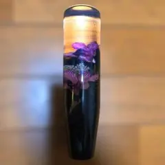 Item thumbnail for item dbf0bd36-705b-4c36-82ad-a908d35db0db