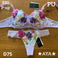 サルート ニューヨーク D75/L PU 93 P-upブラ ソング タンガ - メルカリ