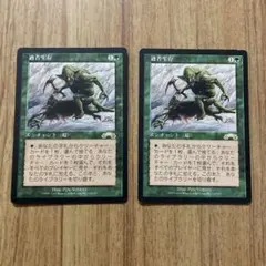 適者生存/Survival of the Fittest 日本語1枚、英語1枚 - メルカリ