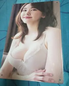 【新品未開封】新垣結衣 ブリキ看板 グラビア レア セクシー