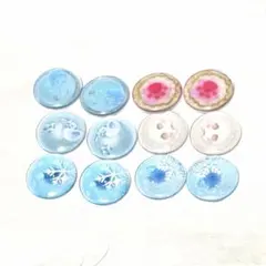 ネオブライス サイズ アイチップ #231 6ペアセット