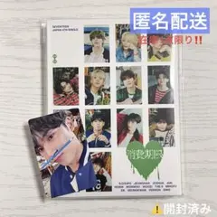 seventeen 消費期限 carat盤 mingyu ミンギュ