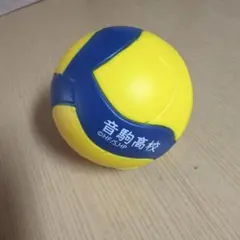 ハイキュー!! 音駒高校 ミニバレーボール ミカサ