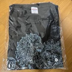 スターライトキッド✕ROLLING CRADLEコラボTシャツ - メルカリ