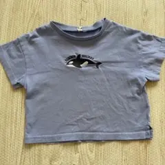 【同梱割】Samansa Mos2 Lagom シャチ刺繍 Tシャツ 95cmのサムネイル