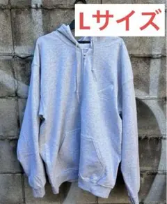 Reverse Etavirp Zip Hoodie (Ash×White)