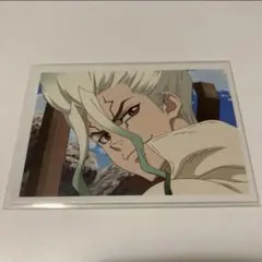 Dr.STONE AMOカフェ　純喫茶　場面写　幼少期　千空　フォトカ　購入特典 Dr.STONE 純喫茶 幼少期 千空 ゼノ フォトカ 購入特典 アモカフェ