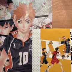ハイキュー ハイキュー展 原画 ゲンガ タイカン ポストカード 春の3匹