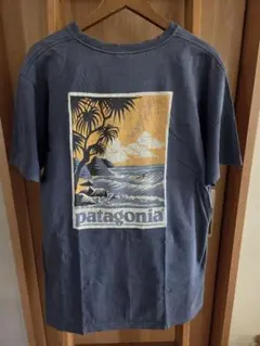 希少】patagonia 北斎Tシャツ ヴィンテージ osaka 大阪 - メルカリ