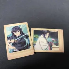 時透無一郎、胡蝶しのぶ　鬼滅の刃 ぱしゃこれ 其ノ捌