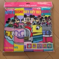 TOKYO DISNEY RESORT タオルセット
