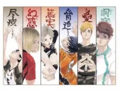 ハイキュー 原画展FINAL 箔押しイラストカードコレクション - メルカリ