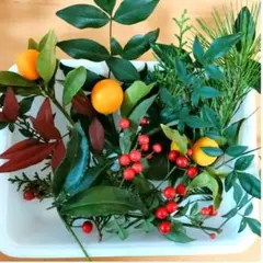 Item thumbnail for item 29a06f29-6902-4d54-bc90-a5b24935983f