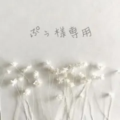 ❁︎ぷぅ様専用ページ❁︎