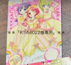 **「RT-56022様専用」**