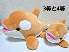 須磨シーワールドオルカクジ4等と3等 シナモンからー