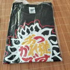 Item thumbnail for item 4422a5aa-b430-45ed-aac9-61875166b386